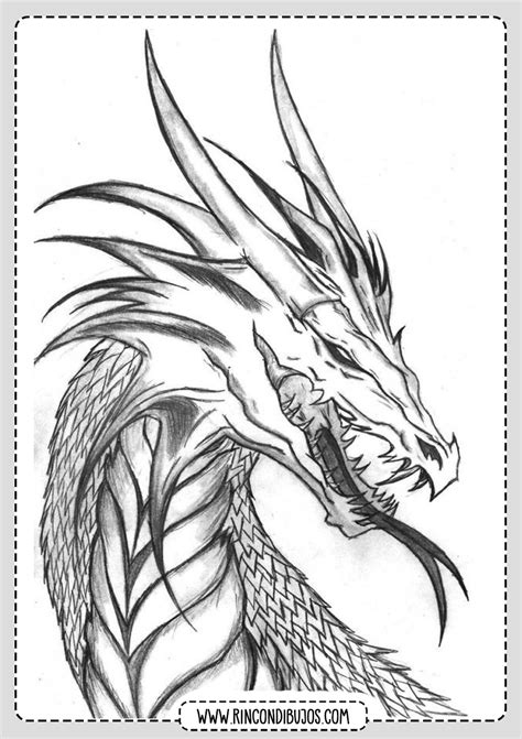 dragon dibujo|dibujos de dragones para dibujar.